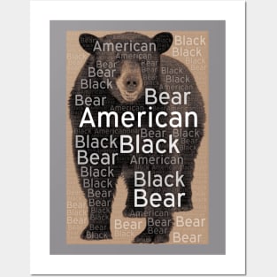 American Black Bear Posters and Art